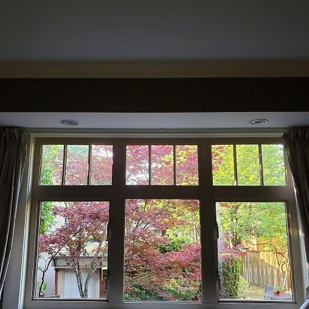 Elegant, Sunny Modern Home With Skylights - Kitsilano, וונקובר מראה חיצוני תמונה